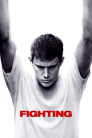 Fighting (2009) Hindi Dual Audio [1.1GB]