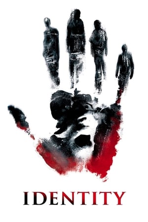 Identity (2003) Hindi Dual Audio 300MB