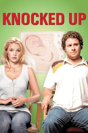 Knocked Up (2007) Hindi Dual Audio 350MB