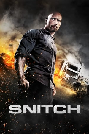 Snitch (2013) Hindi Dual Audio 350MB