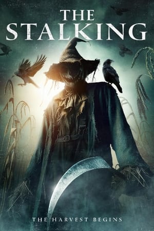 The Stalking (2024) Hindi (MULTI AUDIO) – –