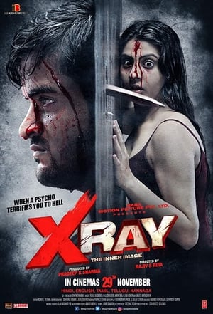 X Ray The Inner Image 2019 Movie - [300MB]